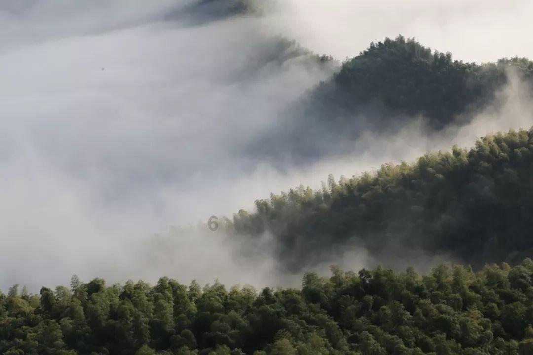 小诊所社保账户上多出一批失业者