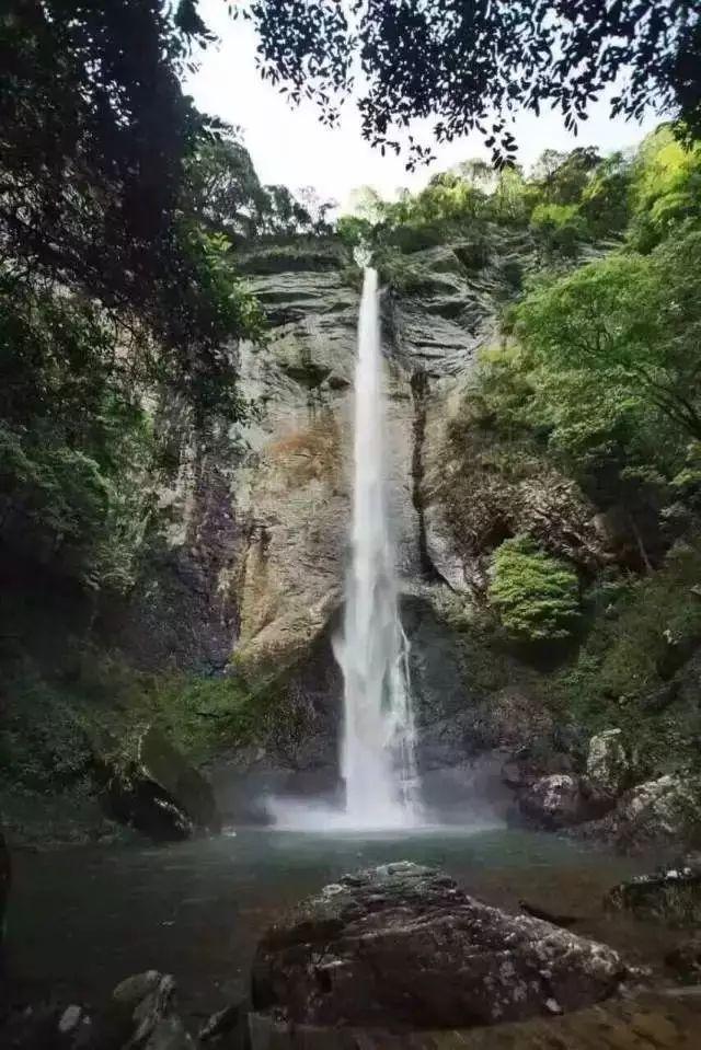 夏季的雨